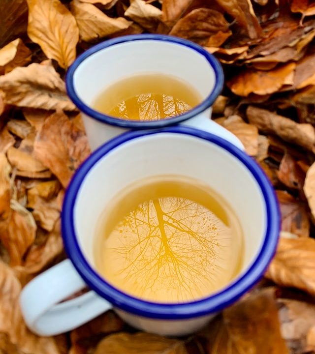 Detox Otoño Ayurveda